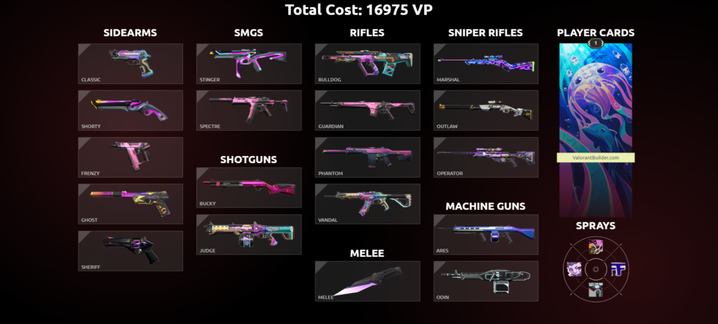 VALORANT Inventory